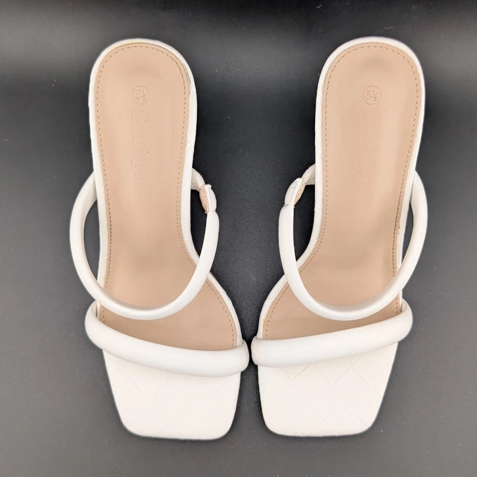 Women's Size 5.5 Two Strap Open Toe Low Block Chunky Heels Sandals Dress Pumps SoleComfort.shoes