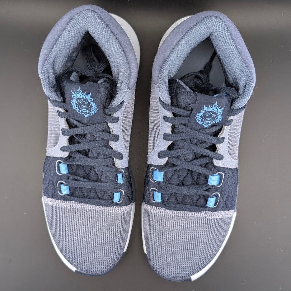 Men's Nike LeBron Witness 8 (VIII)-Slate Blue-Sizes 8, 9.5, 12, 14 Runs Small* Nike