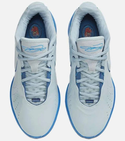 Nike Sz 10 LeBron 21 Standard~Light Armory Blue~FQ4052-400 Indoor Court Release Nike