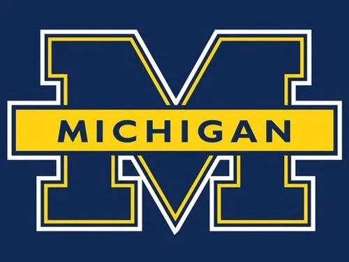 adidas Originals Top Ten Hi Blue Yellow U of Michigan FV4926 Shoe Size 11.5M SoleComfort.shoes